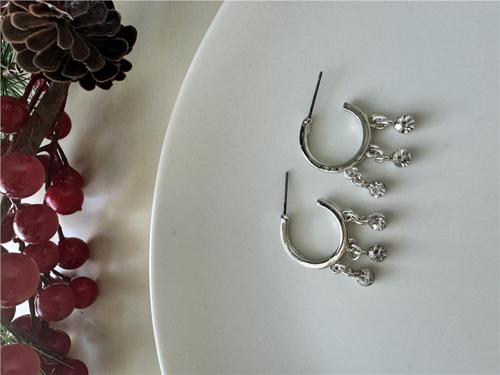 Silver Taşlı Halka Küpe