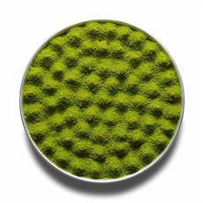 Bülbül Yuvası Tepsi