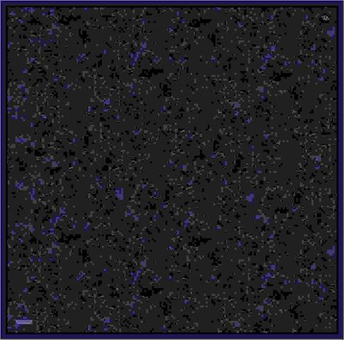 Armine Soyut Desenli Saf İpek Twill Eşarp 9311D 10