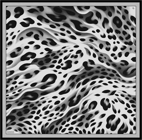 Armine Leopar Desenli Saf İpek Twill Eşarp 9320D 32