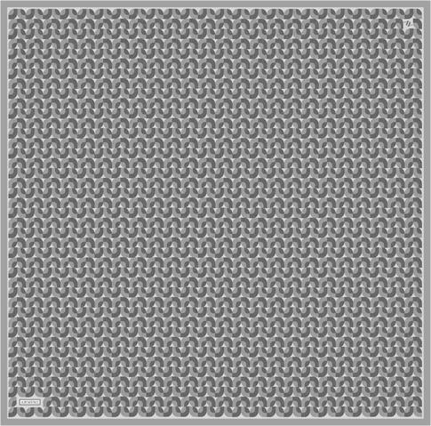 Armine Klasik Desenli Saf İpek Twill Eşarp 9321D 06