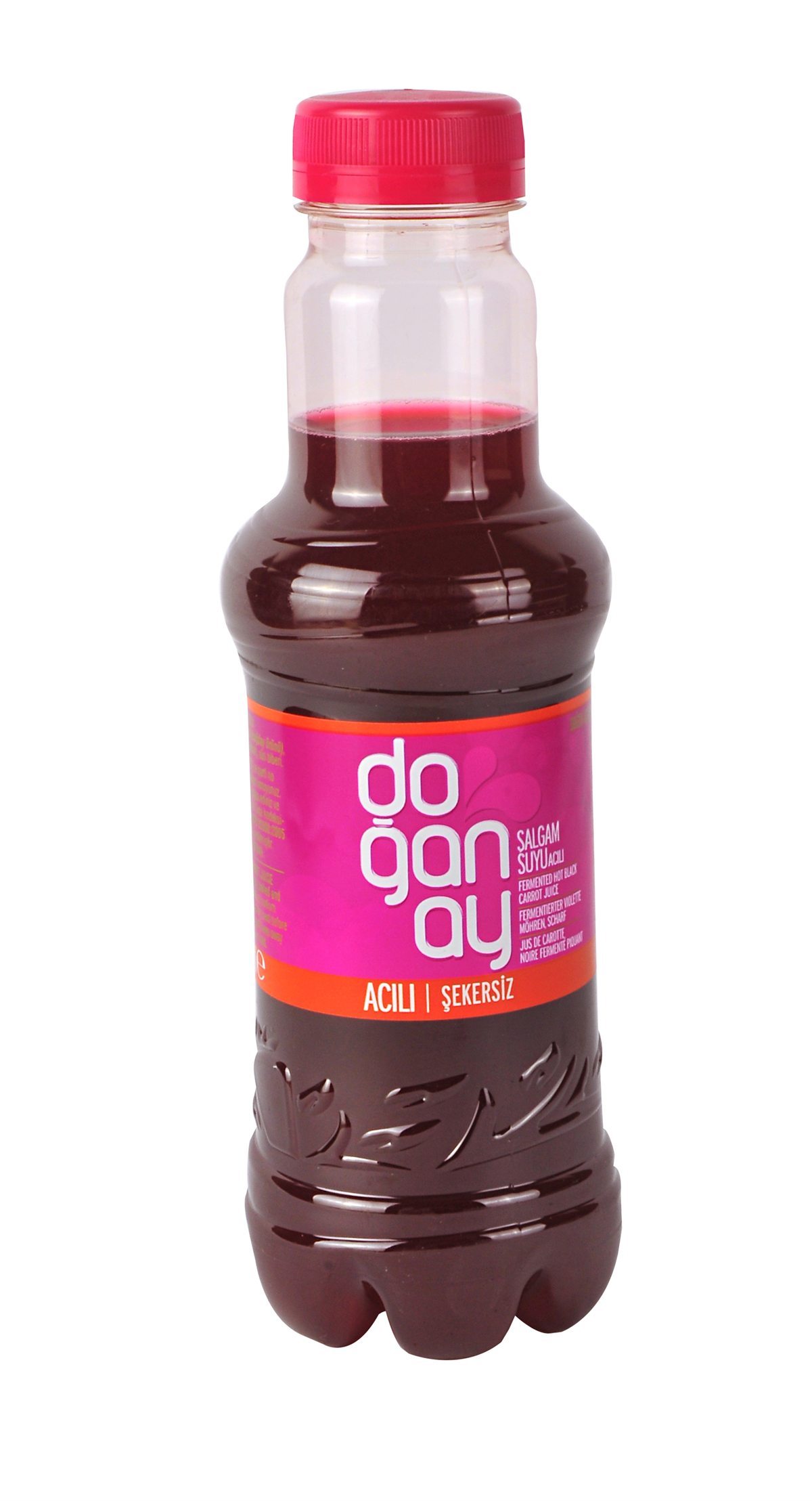 DOGANAY SALGAM 300 ML PET ACILI