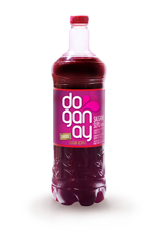 DOGANAY SALGAM 2 LT ACILI DGN012