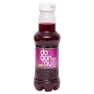 DOGANAY SALGAM 300 ML PET SADE