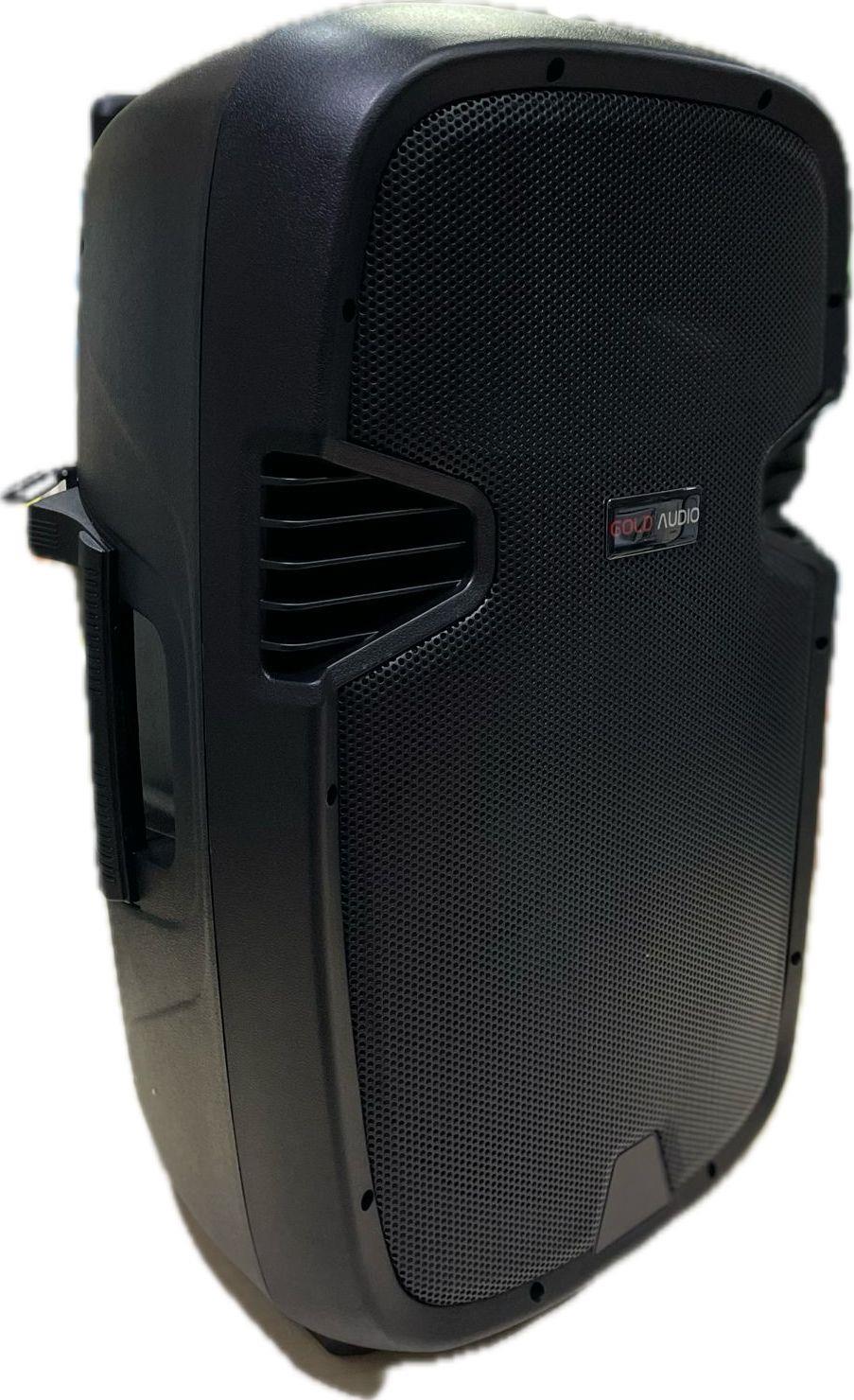GOLD AUDİO PA-8815EE 15İNÇ 160 WATT ÇİFT EL TELSİZ MİKROFONLU TAŞINABİLİR HOPARLÖR