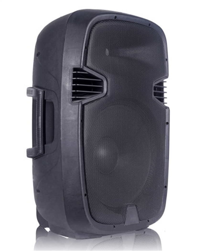 N WORK EW-12 12 İNÇ 500 WATT PASİF HOPARLÖR