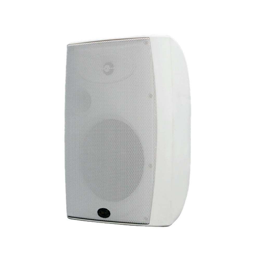 WEST SOUND CONTROL 8 2 YOLLU 8 İNÇ İÇ VE DIŞ MEKAN HOPARLÖR
