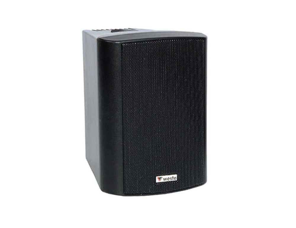 WESTA WS-4TB 10 CM 100 W HAT TR PLASTİK KABİN HOPARLÖR SİYAH