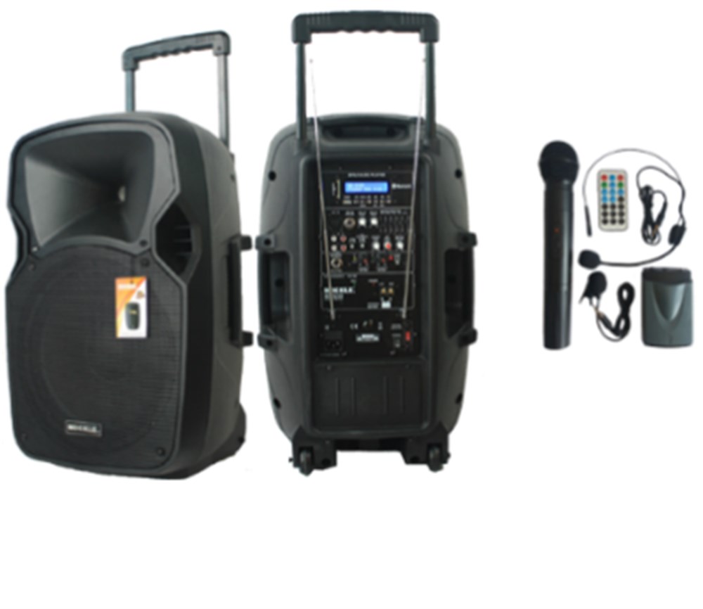 MİCKLE MP1230 30 CM 300W TAŞINABİLİR PORTATİF ANFİ