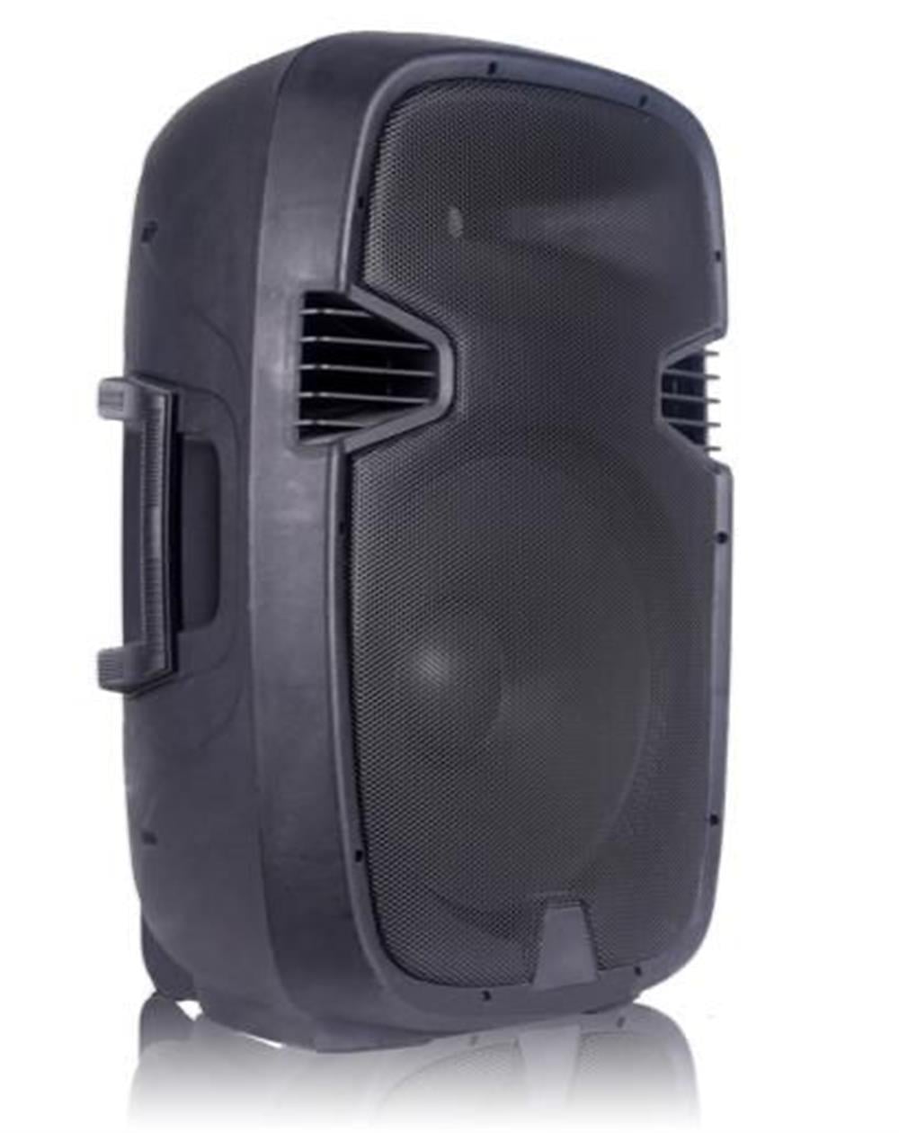 N WORK MC-15 15 İNÇ 2 YOLLU 800 WATT PASİF HOPARLÖR