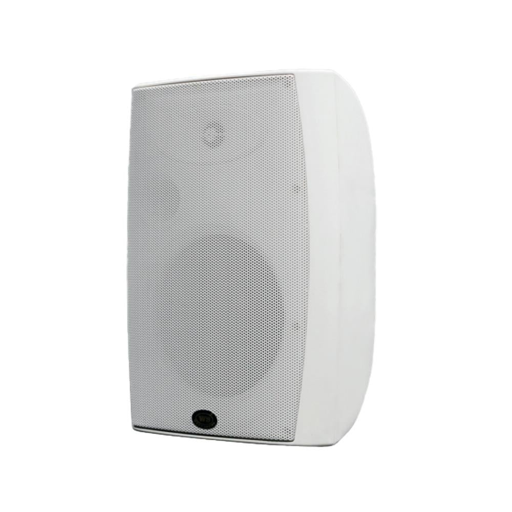 WEST SOUND CONTROL 8 2 YOLLU 8 İNÇ İÇ VE DIŞ MEKAN HOPARLÖR