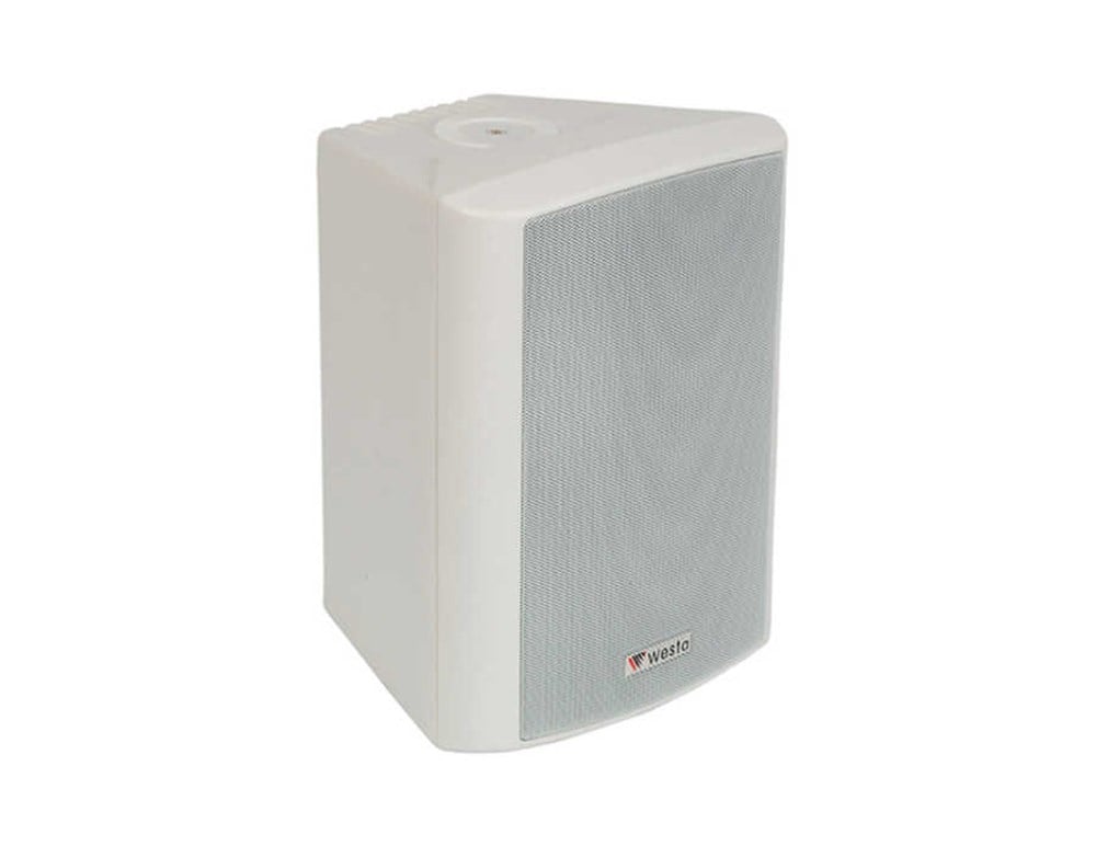WESTA WS-4W DUVAR HOPARLÖRÜ 100 WATT