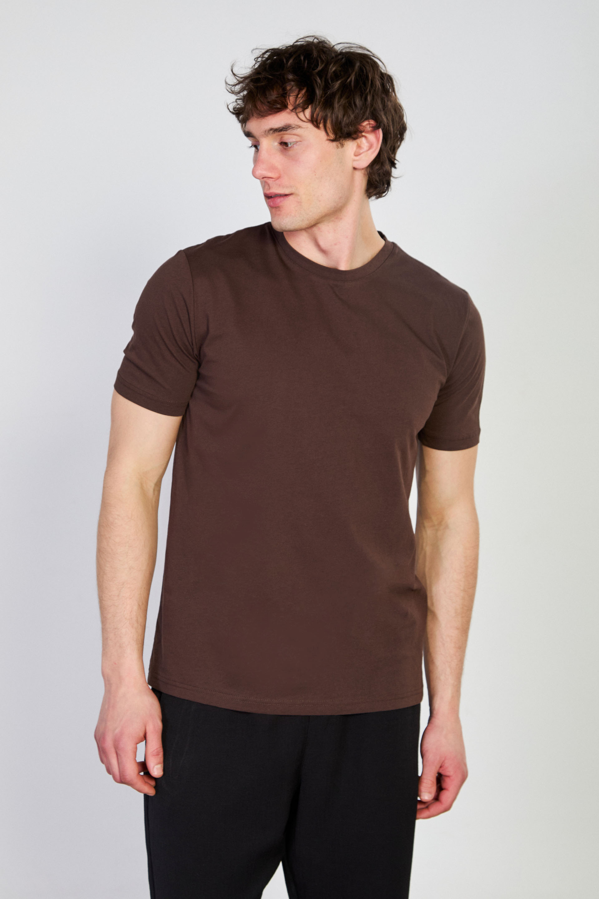 Erkek Bisiklet Yaka Regular Fit T-Shirt - Kahve