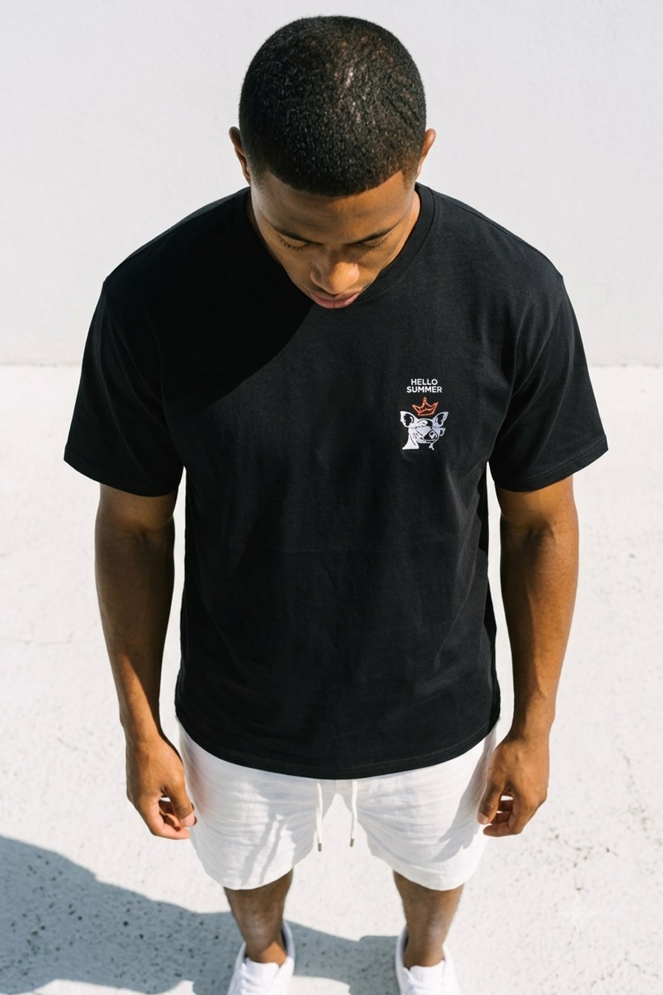 Erkek Hello Summer Köpek Baskılı T-Shirt - Siyah