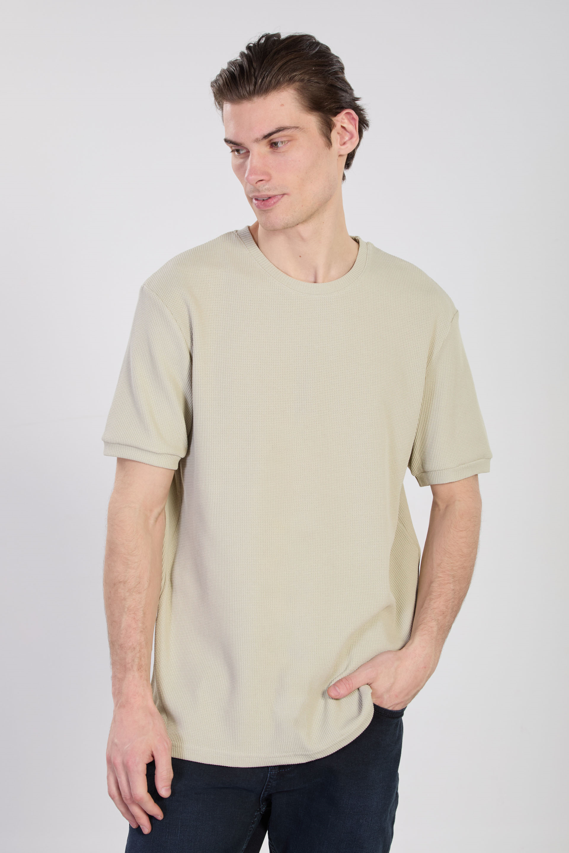 Erkek Gipeli Waffal Basıc T-Shirt - Taş