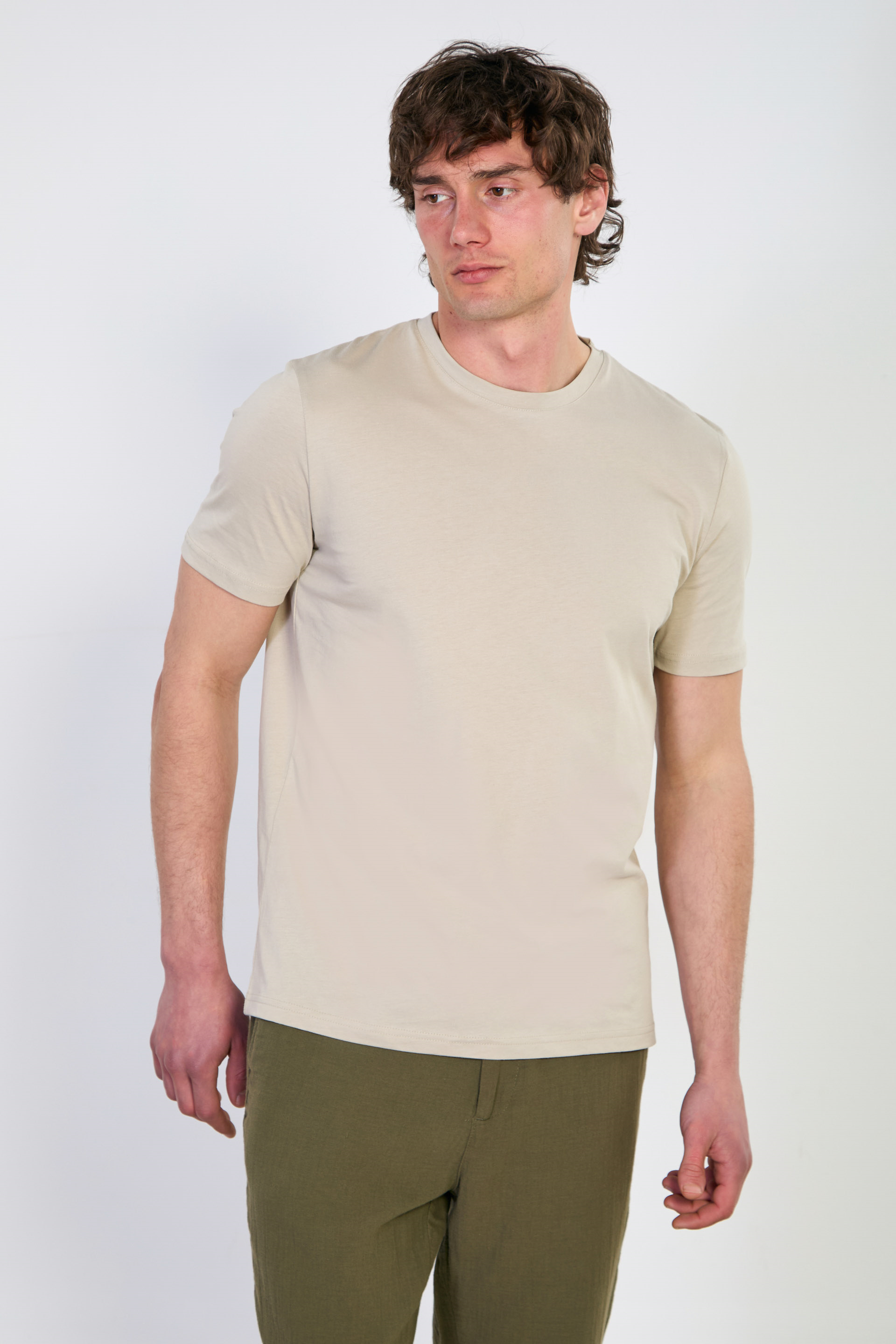 Erkek Bisiklet Yaka Regular Fit T-Shirt - Vizon