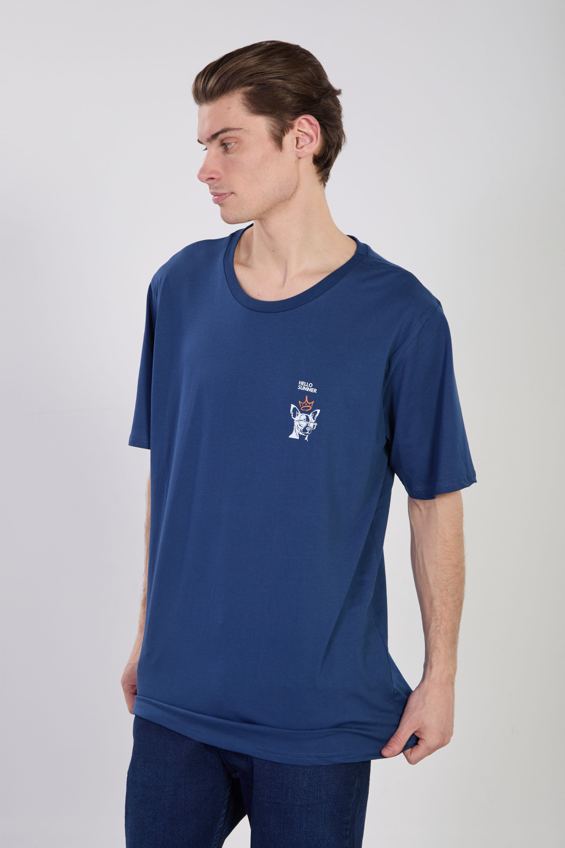 Erkek Hello Summer Köpek Baskılı T-Shirt - İndigo