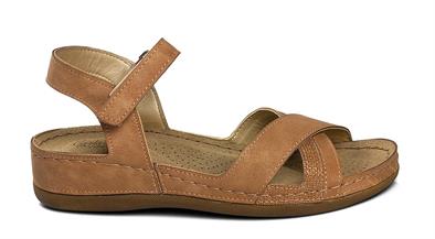 CV 5958 Z.9   36-40   75