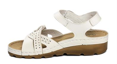 CV 160142 Z.9   36-40   51