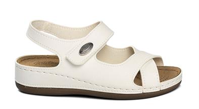 CV 5955 Z.9   36-40   51