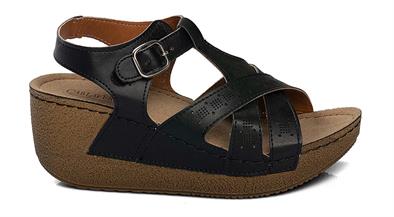 CV 141245 Z.   36-40   50