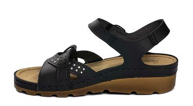 CV 160142 Z.9   36-40   50