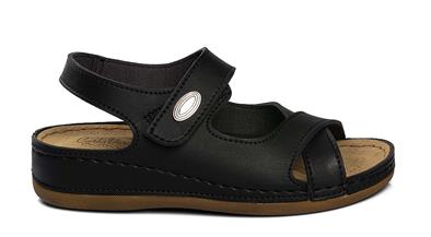 CV 5955 Z.9   36-40   50