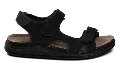 CV 240105 M.   40-44   50