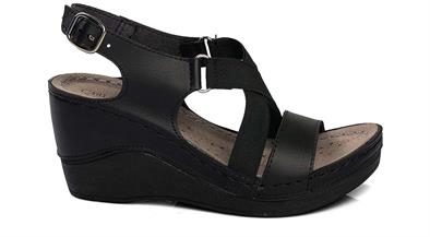 CV 170666 Z 9   36-40   50