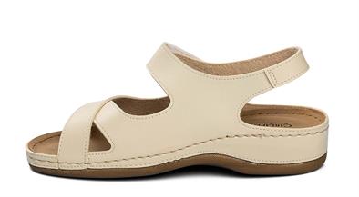 CV 5955 Z.9   36-40   56