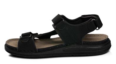 CV 240105 M.   40-44   50