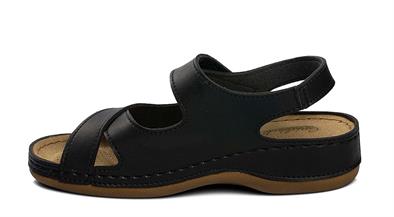 CV 5955 Z.9   36-40   50