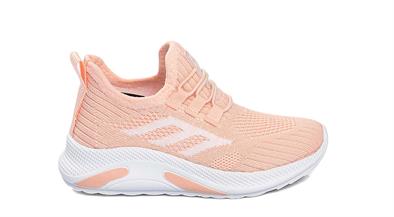 PS 022 P   26-30   PUDRA