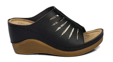 CV 170677 Z.9   36-40   50