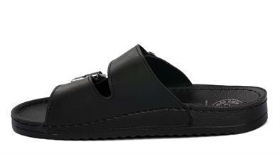 CV 140135 M. 12   40-44   50