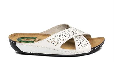 CV 140504 Z.12   36-40   51