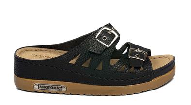 CV 9775 Z. 41 12   41   50