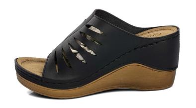 CV 170677 Z.9   36-40   50