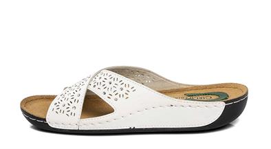 CV 140504 Z.12   36-40   51