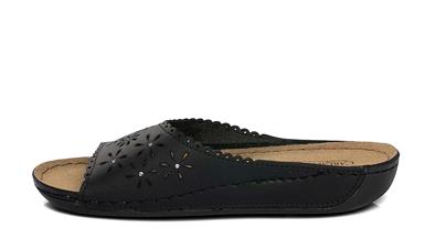 CV 140596 Z.9   36-40   50