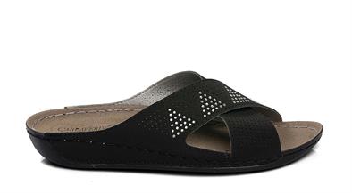 CV 140525 Z.9   36-40   50