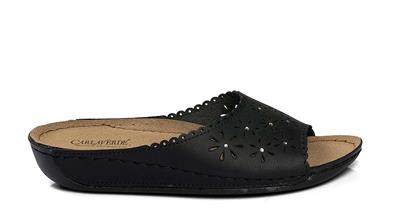 CV 140596 Z.9   36-40   50