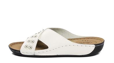 CV 140504 Z.9   36-40   51