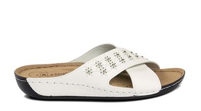 CV 140504 Z.9   36-40   51