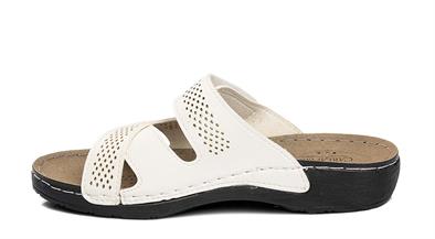 CV 150902 Z.   36-40   51