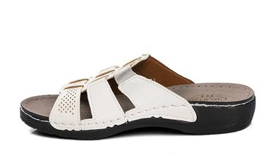 CV 150988 Z.9   36-40   51