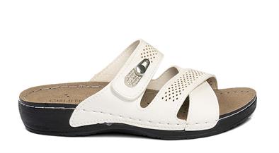 CV 150902 Z.   36-40   51