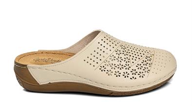 CV 151390 Z. 9   36-40   56