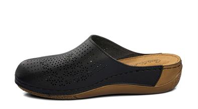 CV 151390 Z. 9   36-40   50