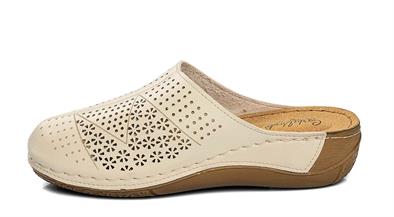 CV 151390 Z. 9   36-40   56